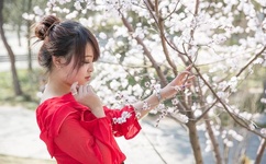 劲爆美女图形图片